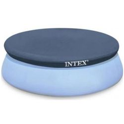  INTEX    396  (28026)