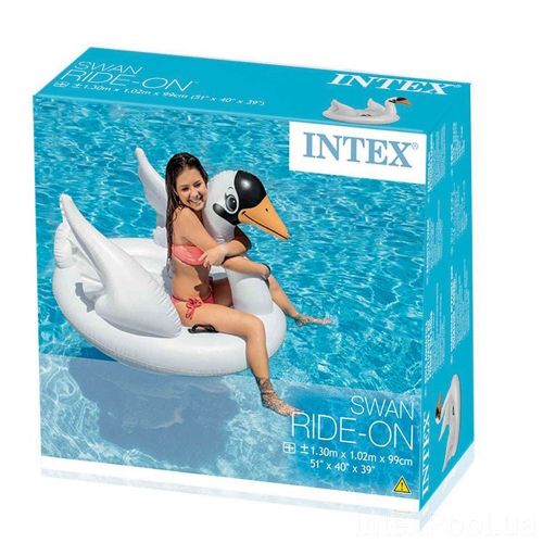   INTEX  13010299  (57557)