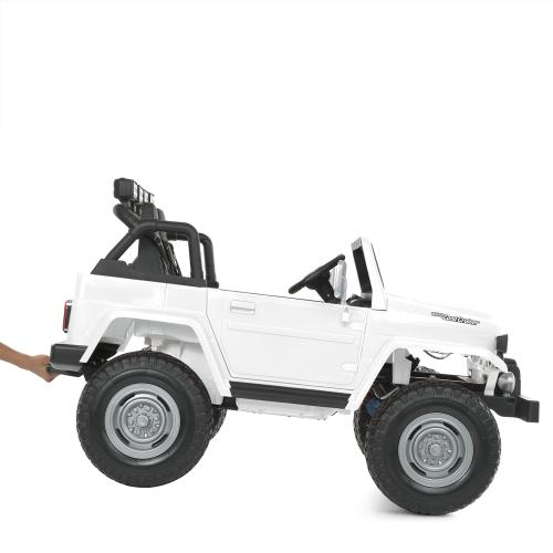    (M 4968EBLR-1(24V))