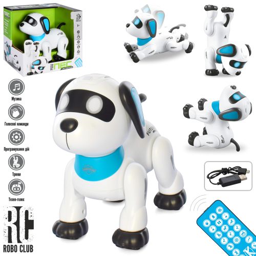 -    LIMO TOY  (RC 0009)