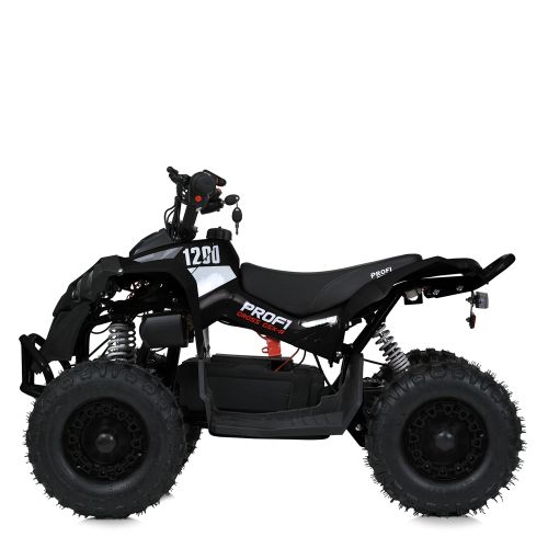    PROF1  (E-XBW-1200-2(MP3))