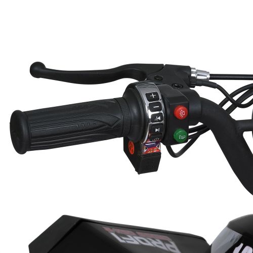    PROF1  (E-XBW-1200-2(MP3))