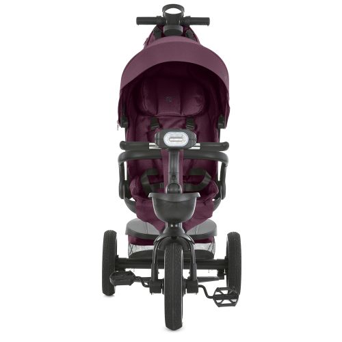     EL CAMINO Vector  (ME 1162-1 Purple)