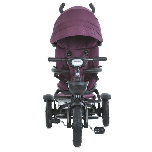     EL CAMINO Modena  (ME 1193 Purple)