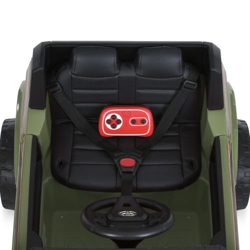   - (2155EBLR-10(24V))
