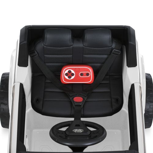   (2155EBLR-1(24V))