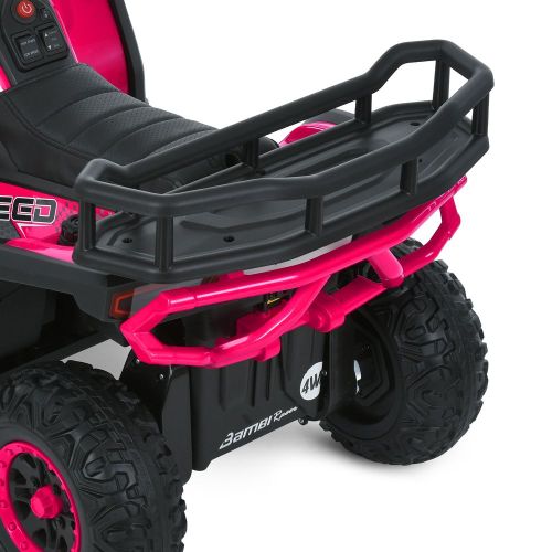   BAMBI RACER  (M 6127EBLR-8(24V))