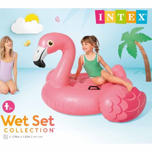   INTEX  14714094  (57558)