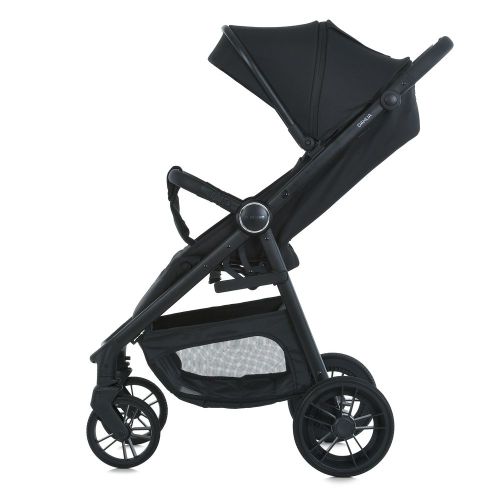 ³  EL CAMINO Dahlia  (ME 1181 Black)