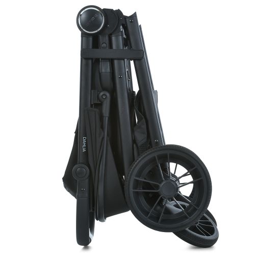 ³  EL CAMINO Dahlia  (ME 1181 Black)