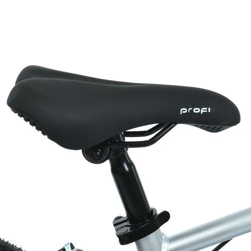   PROF1 Lighty 20"  (MB 20LIGHTY SILVER)