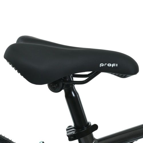   PROF1 Lighty 20"  (MB 20LIGHTY DARK GREY)