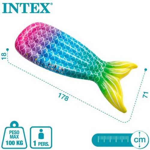   INTEX   1787118  (58788)