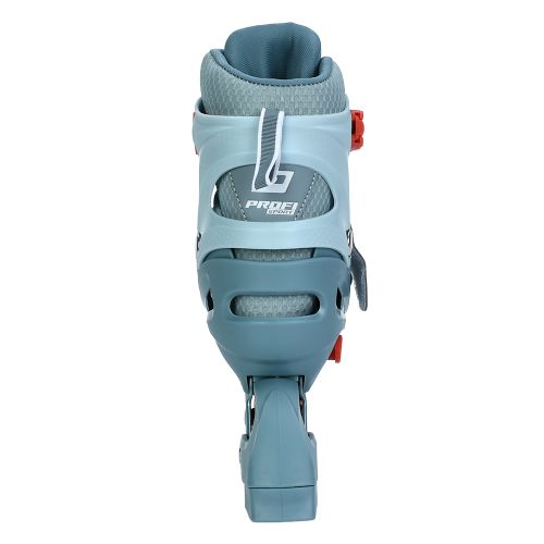   PROF1  (35-38)   (A4153-M)