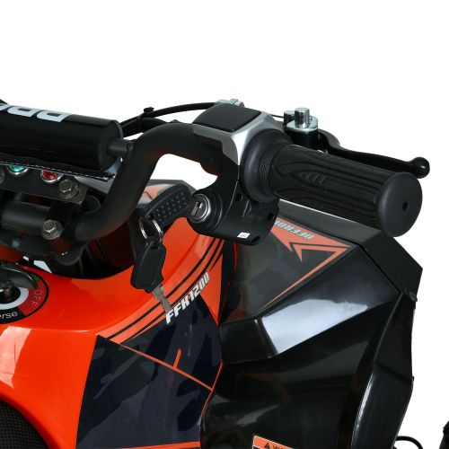    PROF1  (HB-EATV1000Q-7ST)