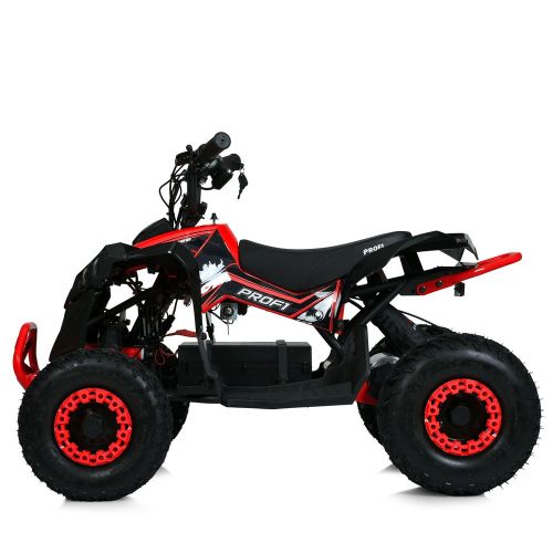    PROF1  (HB-EATV1000Q-3ST)