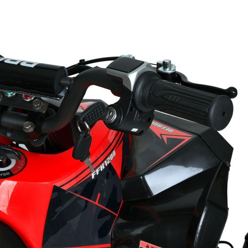    PROF1  (HB-EATV1000Q-3ST)
