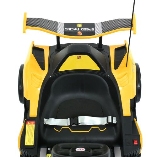   BAMBI KART  (M 6147EBLR-6(24V))