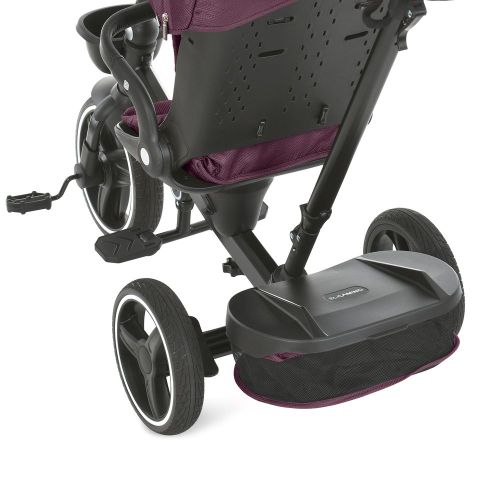     EL CAMINO Vector  (ME 1162-1 Purple)