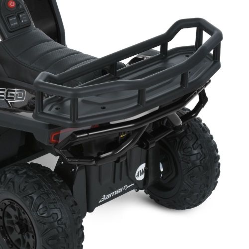   BAMBI RACER  (M 6127EBLR-2(24V))