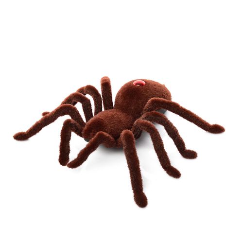    (787)